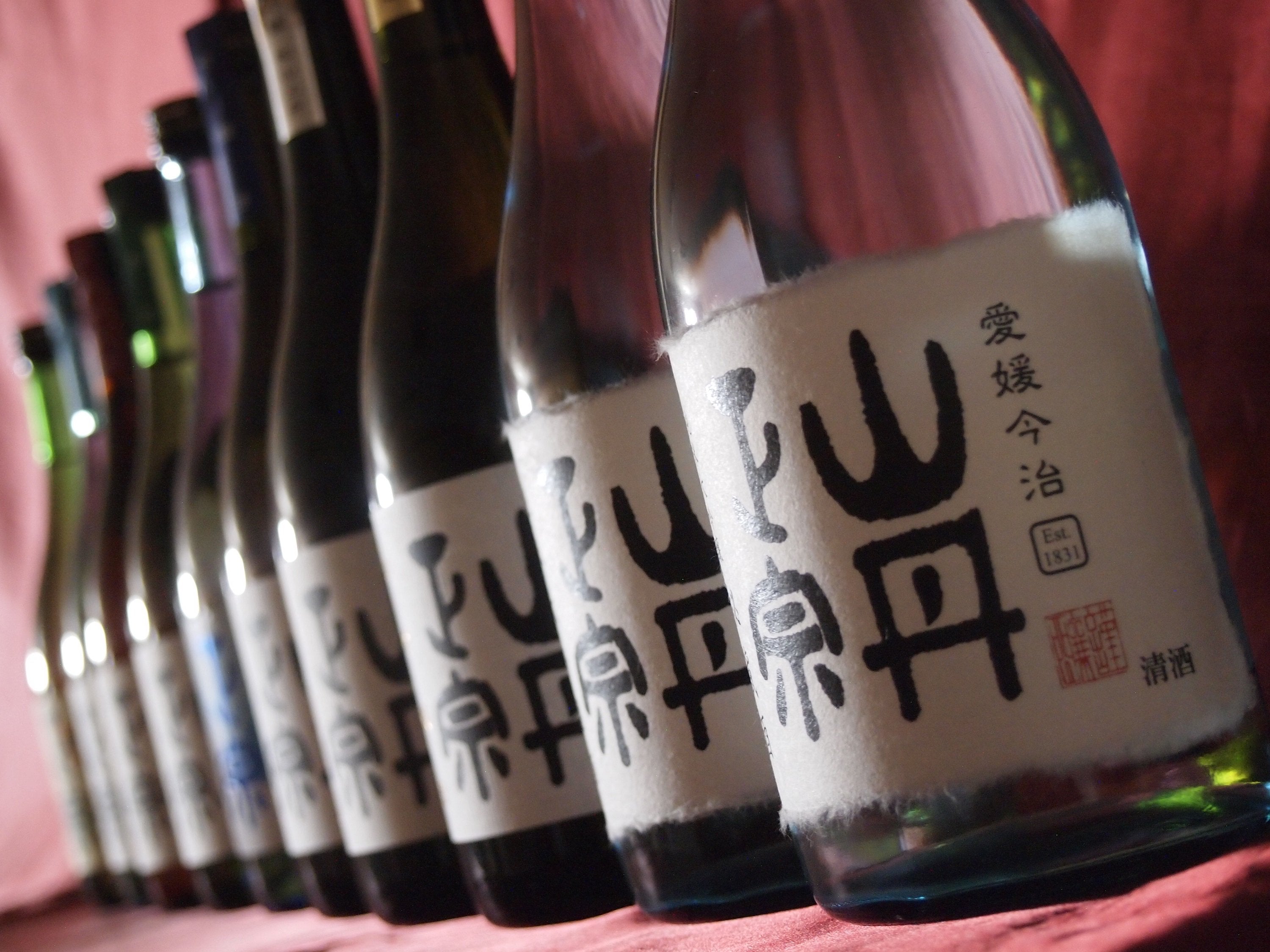 Die wichtigsten Sake-Arten erklärt – Junmai, Honjozo, Ginjo, Daiginjo & Nigori
